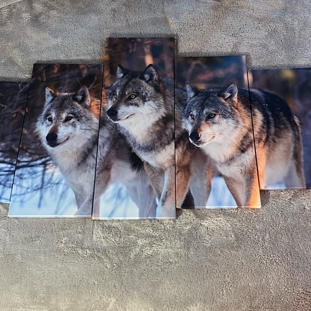 5pc wolf photo art on canvas